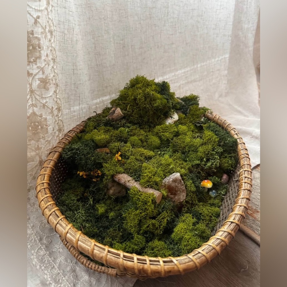 🚫SOLD🚫 Handmade Moss Woodland Centerpiece – Cottagecore Fairy Garden Art Decor